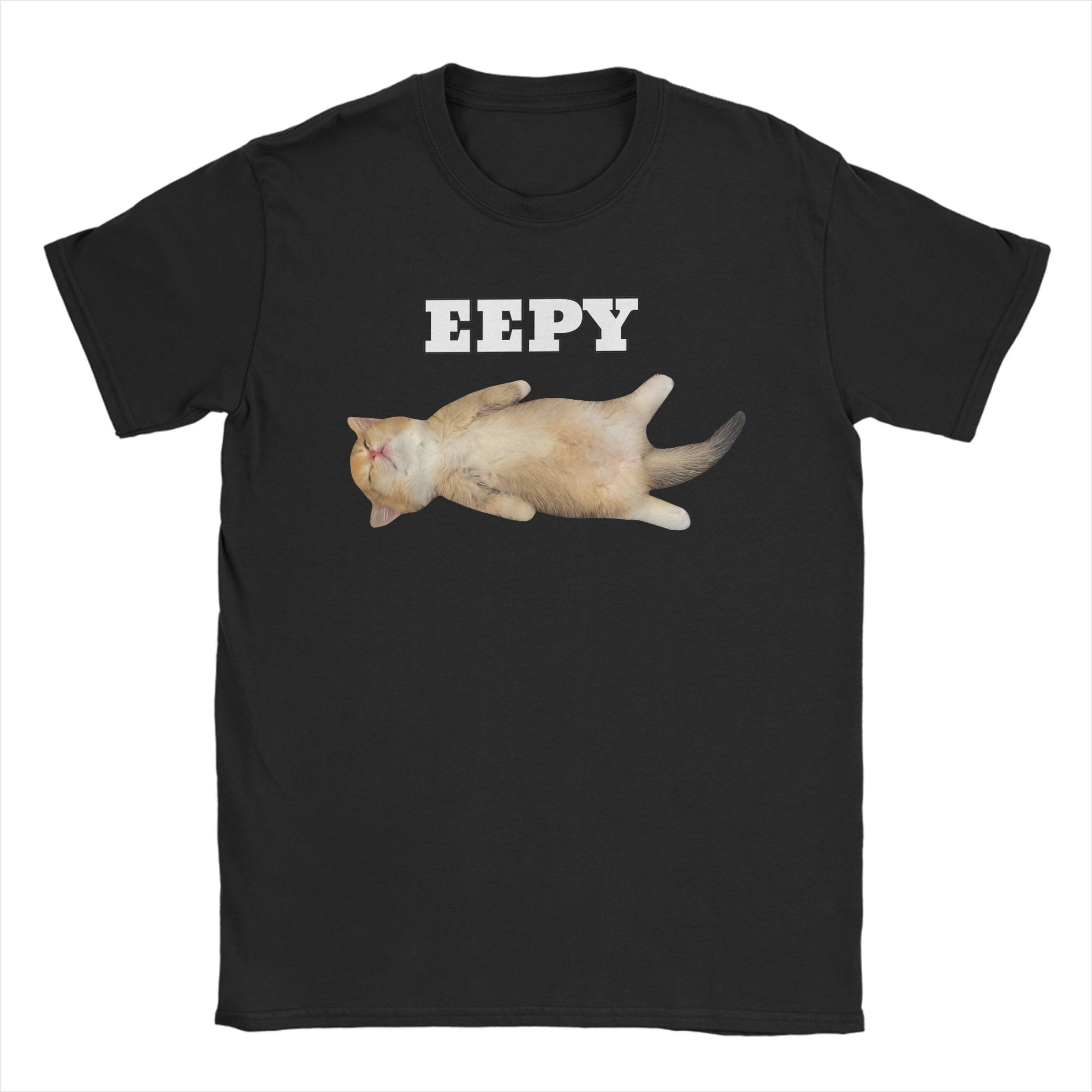 Summer Clothing Ideas For Women - 女性 Tシャツ Eepy Cat Sleepy Cat