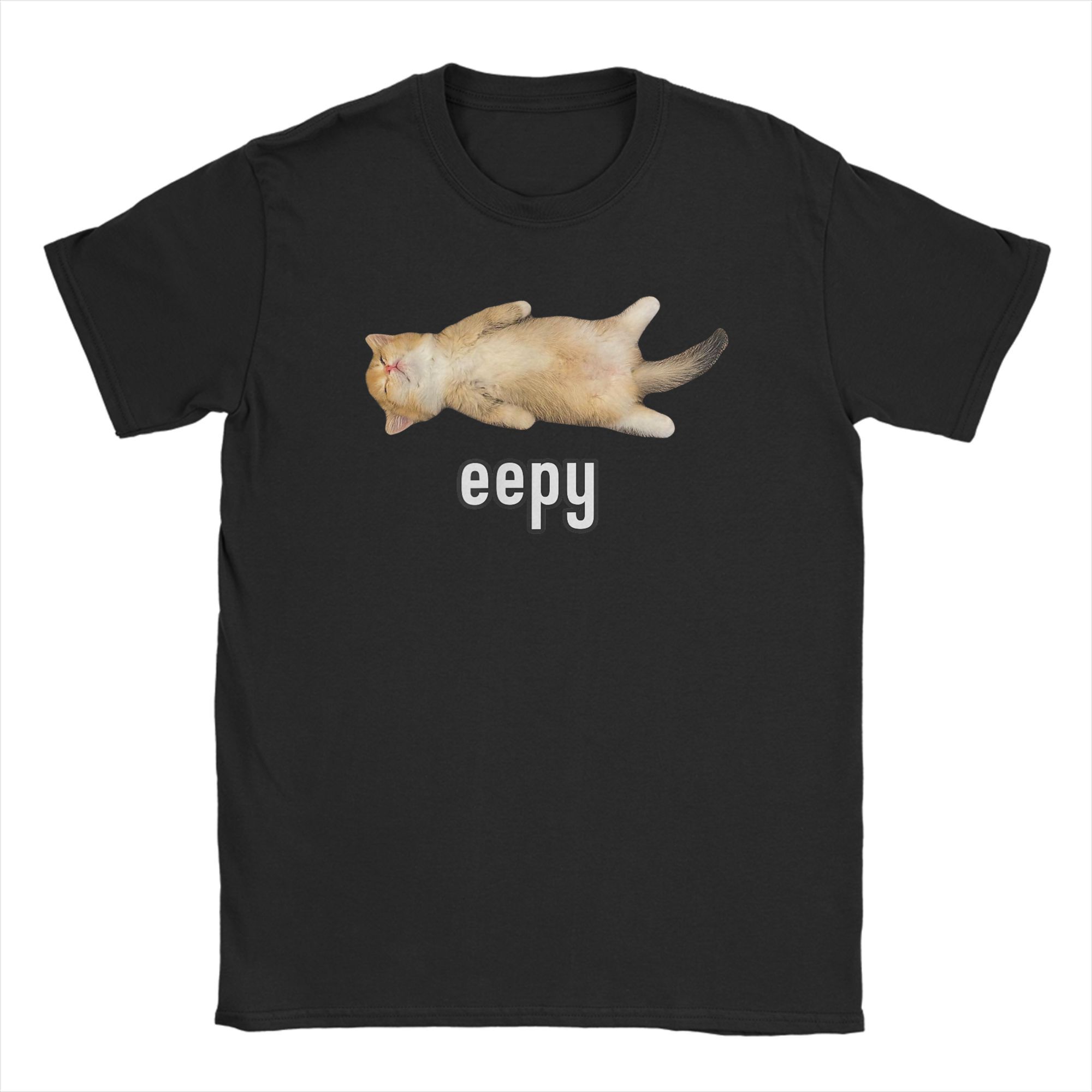 レディース エイプキャット Tシャツ シリー スリーピーキャ - Summer Clothing Ideas For Women のレビューと価格